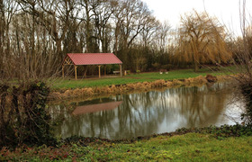 Plan d’eau arboré